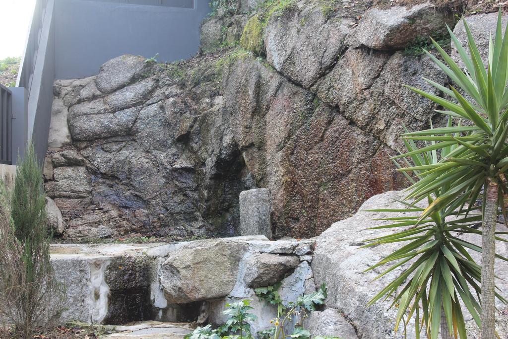 Hotel Bienestar Termas De Vizela Εξωτερικό φωτογραφία